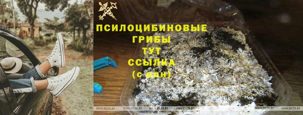 тгк Абинск